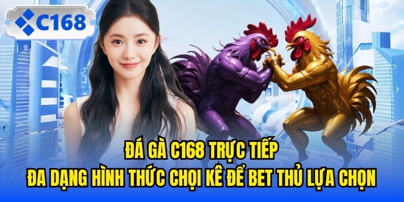 Đá Gà C168 trực tiếp đa dạng hình thức chọi kê để bet thủ lựa chọn