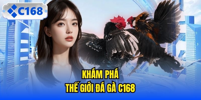 Khám phá thế giới Đá gà C168